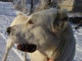 /album/fotogaleria/mix-128-jpg/